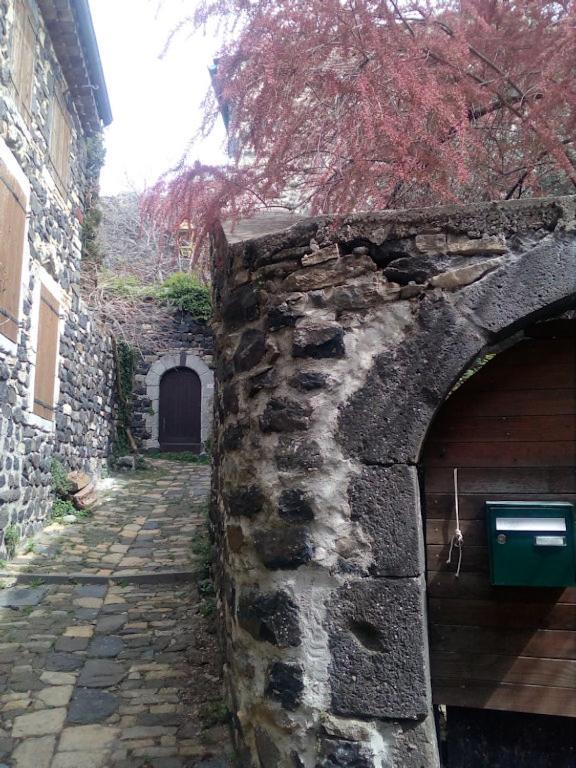L'Olivier Villa Mirabel  Kültér fotó